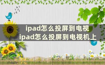 ipad怎么投屏到电视 ipad怎么投屏到电视机上